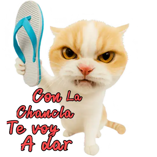 สติกเกอร์