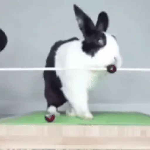 Կպչուն պիտակ