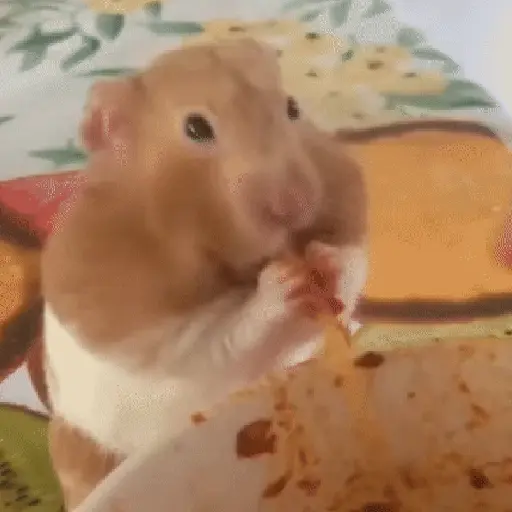 Կպչուն պիտակ