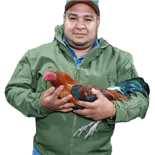 ස්ටිකර්