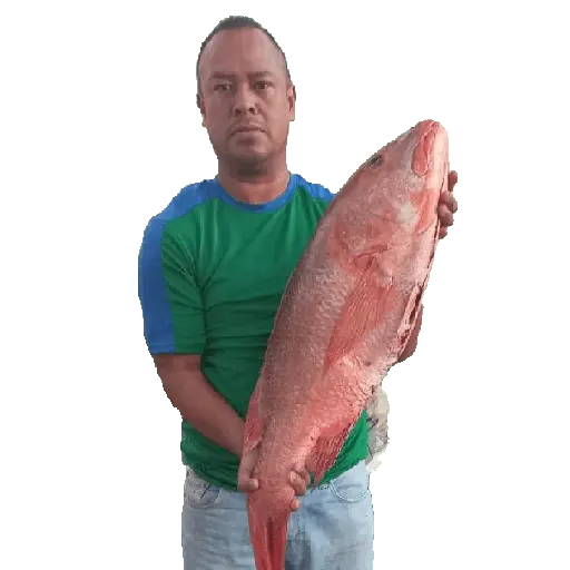 ස්ටිකර්