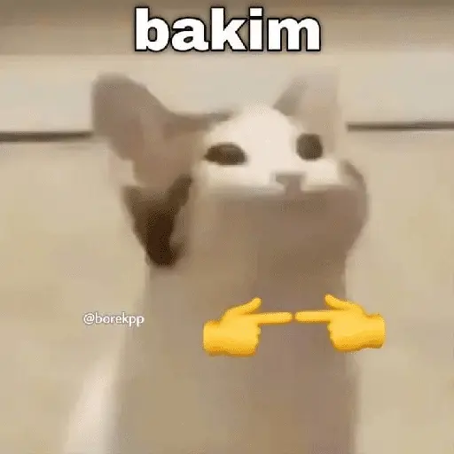 Çıkartma