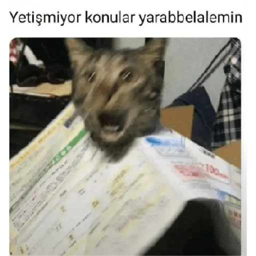 Çıkartma