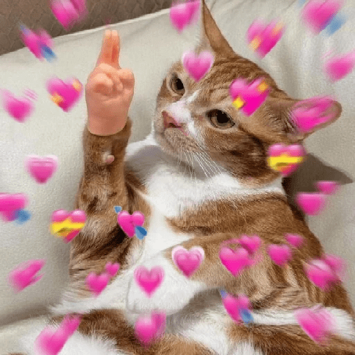 ස්ටිකර්