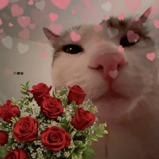 ස්ටිකර්