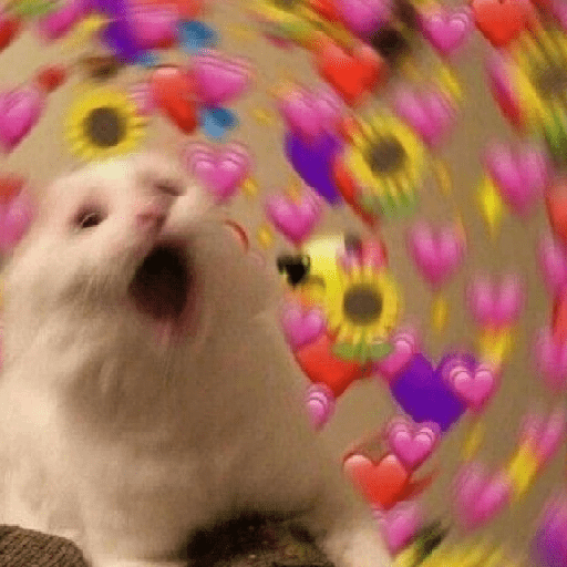 ස්ටිකර්