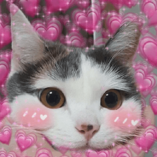 ස්ටිකර්