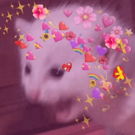 ස්ටිකර්