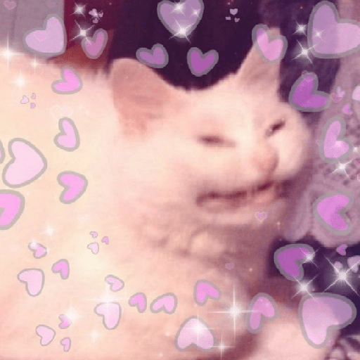 ස්ටිකර්