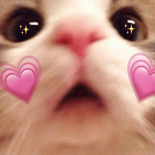 ස්ටිකර්