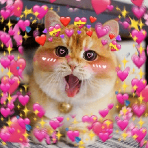 ස්ටිකර්