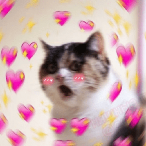 ස්ටිකර්