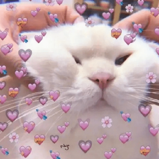 ස්ටිකර්