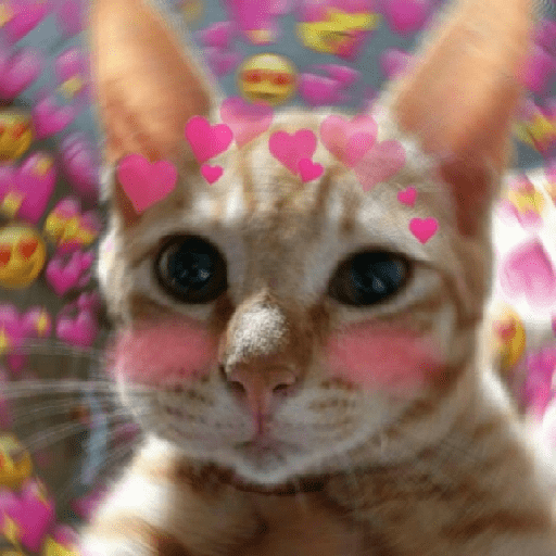 ස්ටිකර්