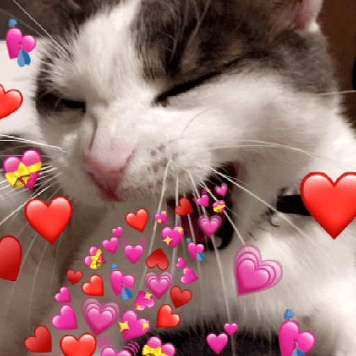 ස්ටිකර්