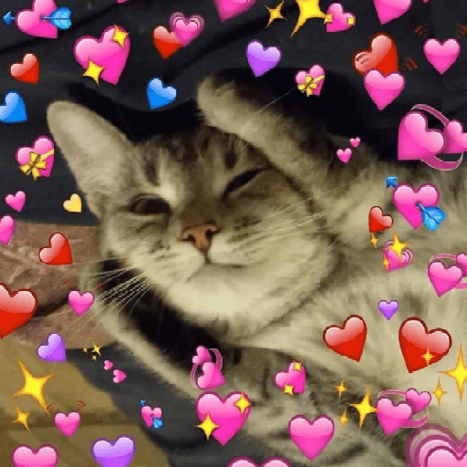 ස්ටිකර්