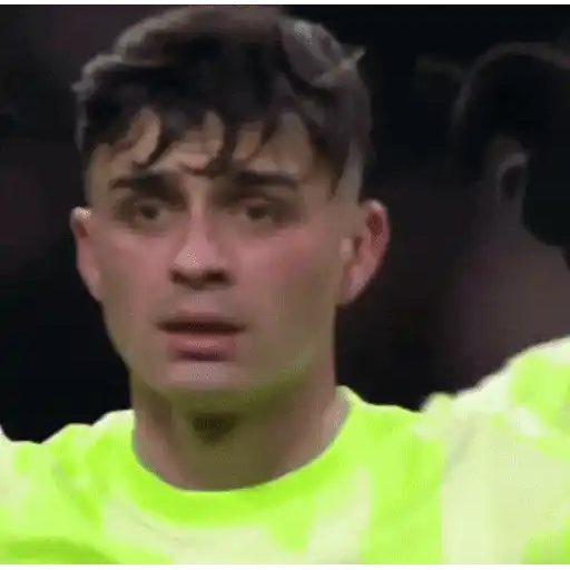 ස්ටිකර්