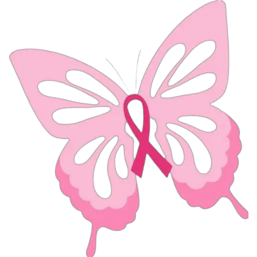 ස්ටිකර්