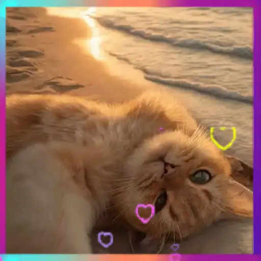 Կպչուն պիտակ