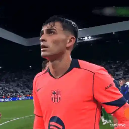 ස්ටිකර්