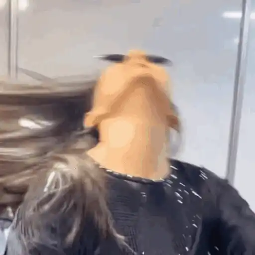 ஸ்டிக்கர்