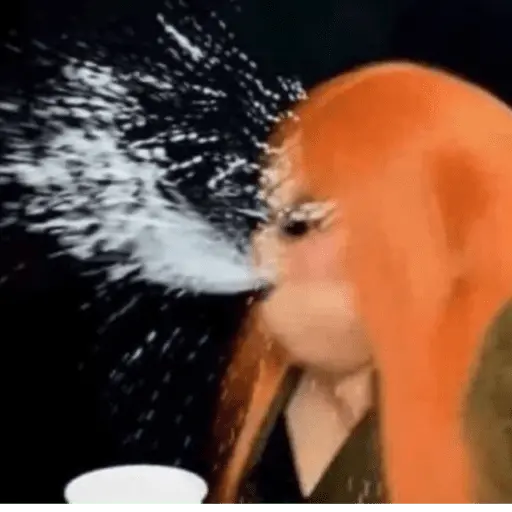 ස්ටිකර්