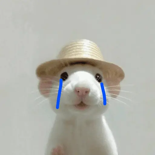 ஸ்டிக்கர்