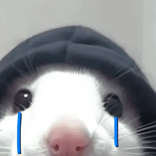 ஸ்டிக்கர்