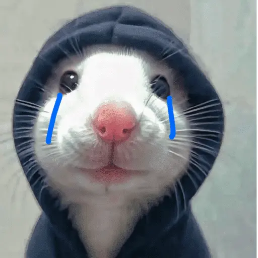 ஸ்டிக்கர்